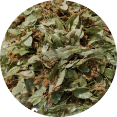 Липа цвіт 0.1 кг.